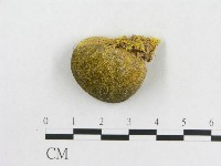 登錄號:F0020494藏品圖，第1張