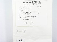 登錄號:F0020495藏品圖，第2張