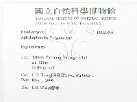 登錄號:F0020495藏品圖，第3張