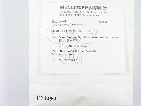 登錄號:F0020499藏品圖，第2張