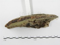 登錄號:F0020499藏品圖，第4張