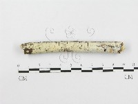 登錄號:F0020504藏品圖，第1張