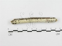 登錄號:F0020504藏品圖，第3張