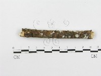 登錄號:F0020504藏品圖，第4張