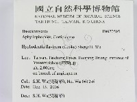 登錄號:F0020505藏品圖，第2張