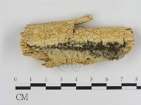 登錄號:F0020505藏品圖，第1張