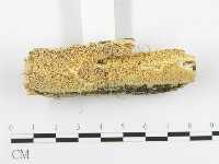 登錄號:F0020505藏品圖，第3張