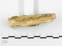 登錄號:F0020505藏品圖，第5張
