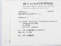 登錄號:F0020506藏品圖，第2張