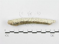 登錄號:F0020506藏品圖，第1張