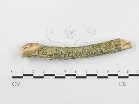 登錄號:F0020506藏品圖，第4張