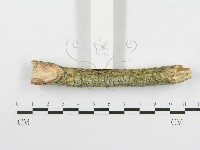 登錄號:F0020506藏品圖，第5張