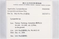 登錄號:F0020508藏品圖，第4張