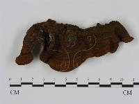 刺革菌屬藏品圖，第1張