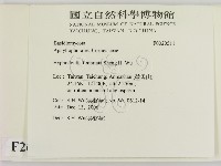 登錄號:F0020511藏品圖，第2張