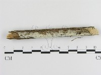 登錄號:F0020511藏品圖，第1張