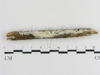 登錄號:F0020511藏品圖，第3張