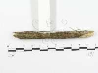 登錄號:F0020511藏品圖，第4張