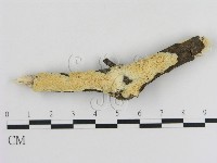 登錄號:F0020512藏品圖，第1張