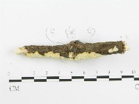 登錄號:F0020512藏品圖，第3張