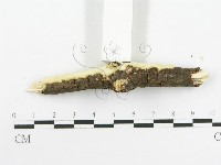 登錄號:F0020512藏品圖，第5張