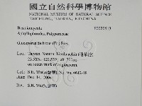 登錄號:F0020513藏品圖，第2張