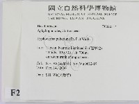 登錄號:F0020514藏品圖，第2張