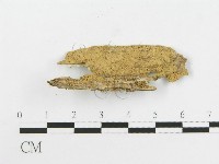 登錄號:F0020514藏品圖，第3張