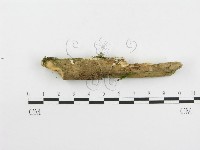 登錄號:F0020515藏品圖，第5張