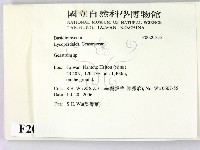 地星屬藏品圖，第2張