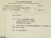 登錄號:F0020517藏品圖，第2張