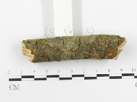 登錄號:F0020517藏品圖，第4張