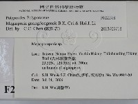 登錄號:F0020518藏品圖，第2張