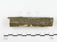 登錄號:F0020518藏品圖，第4張