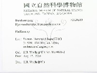 木層孔菌屬藏品圖，第2張