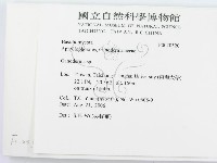 靈芝屬藏品圖，第2張