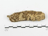 登錄號:F0020523藏品圖，第1張