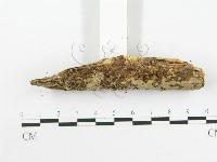 登錄號:F0020523藏品圖，第3張