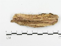 登錄號:F0020523藏品圖，第4張