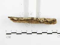 登錄號:F0020523藏品圖，第5張