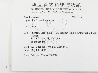 杯傘屬藏品圖，第2張