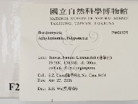 登錄號:F0020525藏品圖，第2張