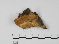 登錄號:F0020525藏品圖，第1張