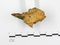 登錄號:F0020525藏品圖，第3張