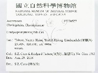 登錄號:F0020527藏品圖，第2張