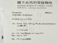 登錄號:F0020531藏品圖，第2張