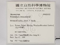 登錄號:F0020532藏品圖，第2張