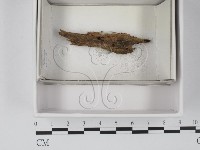 登錄號:F0020533藏品圖，第1張