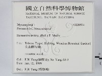 登錄號:F0020534藏品圖，第2張