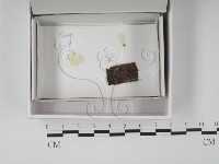 登錄號:F0020534藏品圖，第1張